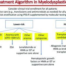 Pdf Myelodysplastic Syndromes Current Treatment Algorithm 2018