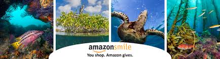 We did not find results for: Support Wildcoast Through Amazonsmile Wildcoast