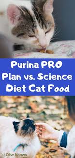 Purina Pro Plan Vs Science Diet Cat Food 2020 Edition Oliveknows Science Diet Cat Food Diet Cat Food Cat Food