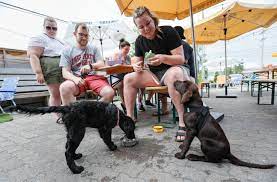 It's illegal in the state of ohio to have any live animal. Dog Friendly Columbus Restaurants And Breweries Allow Pups On Patio
