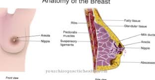 Asi bisa berfungsi sebagai antiseptik dan pelembab terbaik. Rembesan Mamalia Tidak Normal Punca Gejala Rawatan Penyakit