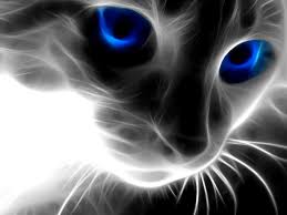 ❤ get the best cool animals wallpapers on wallpaperset. Cool Animal Wallpaper 1600x1200 74018