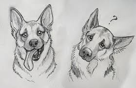 German Shepard Sketches By Reenama On Deviantart Animal Drawings Dog Drawing Sketches
