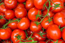 We did not find results for: Tomato Malmborgs