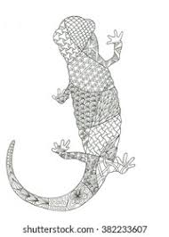 About 550 existing species of amphibians are categorized under the common name of. Salamander Coloring Page Stock Illustration 382233607