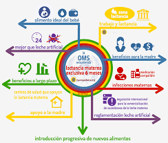 Algunos de los nutrientes de la leche materna también ayudan a proteger al niño de algunas enfermedades e infecciones comunes. Lactancia Materna Todo Ventajas Neuronas En Crecimiento