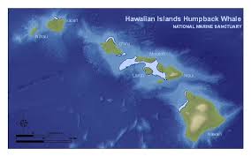 Hawaiian Islands Humpback Whale Library Maps Charts And