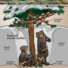 All you need to do is learn what they have to offer. How To Build A Shelter Howstuffworks