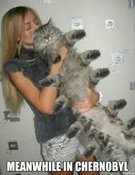 Meanwhile In Chernobyl Cat Meme Cat Planet Cat Planet