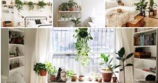 لو حاسة بالملل 7 طرق لتجديد ديكور غرفة نومك بالنباتات اليوم السابع