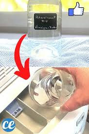 L Adoucissant Maison Pour Des Vetements Tout Doux A L Odeur Fraiche De Menthe Recette En 2020 Adoucissant Maison Machine A Laver Le Linge Menthe
