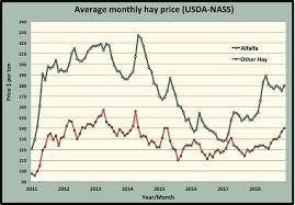 If i've admired the trousers a friend is wearing and i think i'd like to buy the same kind, i might ask, how much did those trousers cost? A Hay Price Bang To Finish 2018 Hay And Forage Magazine