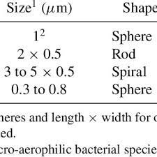 See more ideas about classification, bacteria shapes, microbiology study. Physical Sizes Shapes And Categories Of The Bacteria Download Table
