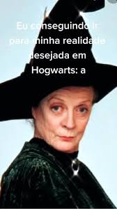 coisa q eu acidentalmente faria 🐱👉👈 #titiaminerva #harrypotter