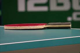 1 for men's singles by the international table tennis federation (ittf). Fan Zhendong Using All Wood Blade At The World Team Cup