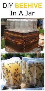 How To Make A Beehive In A Jar Diy Bee Keeping Bee Hive Hobby Farms