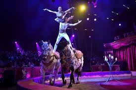 circus festival monte carlo 2018 die goldenen clowns
