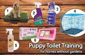 For a shy puppy or dog, being taken to a new place and then deluged with lots of loud. The Complete Guide On How To Toilet Train Your Puppy My Pet Warehouse