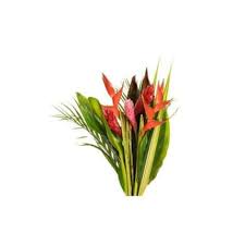 Veldkamp's flowers has been proudly serving the denver area since 1959. 15 Exotic Tropical Flowers Bouquet J R Roses Wholesale Flowers