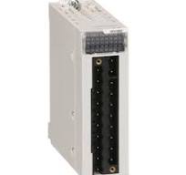 Schneider Electric BMXDDI1602 16 Digital Inputs Module 24 VDC, Sink