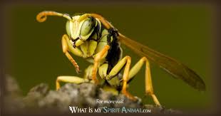 Maybe you would like to learn more about one of these? Wasp Symbolism Meaning Wasp Spirit Totem Power Animal