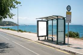 Image result for Bussea