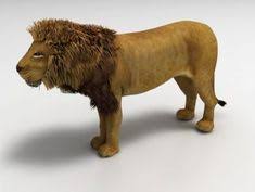 Lion Free 3d Model Lion 3d Model Model
