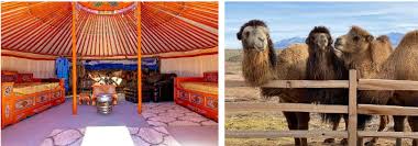 Las vegas is more than shimmering lights and neon signs, it's a bustling oasis filled with natural desert beauty. Daytime Glamping Available At Desert Ranch Experience