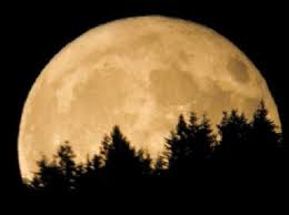 Pin By Norma On Moon Moon Sky Moon Beautiful Moon