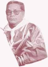 turtle pgmkr 9/10 revision