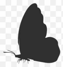 Free Free 113 Butterfly Side View Svg SVG PNG EPS DXF File