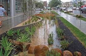P 3 Urban Raingarden Small Png 518 341 Rain Garden Stormwater Water Management