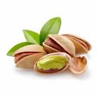 تهامى العطار