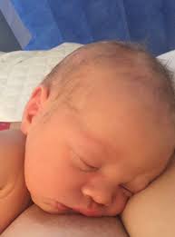 Sands Garden of Remembrance and Hope