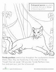 In the united states, the florida panther had a historic range that included much of the southeastern part of the country. Florida Panther Worksheet Education Com Florida Panther Animal Coloring Pages Animal Coloring