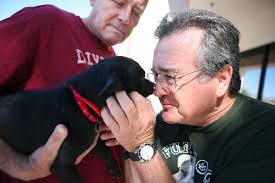 Summerlin area has volunteer opportunities for any interest