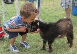 Wild west pony parties counts former first lady laura bush only one petting zoo is operated close by. Farm And Mobile Petting Zoo Party Of All Events And Photo Shoots Renting Our Farm Animals Is Alway And Big Hit Call Us T Animal Tv Mobile Petting Zoo Animals