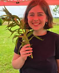 Our Munch and Learn community explored cultivated garden plants and others  who chose to make a home in the garden to discover allies for what is  impacting our physical and emotional well-being.