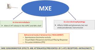 Image result for Methoxetamine