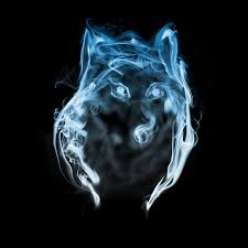 There are 28 patronus wolf for sale on etsy, and they cost $20.47 on average. Wolf Patronus By Pablodoogenfloggen On Deviantart