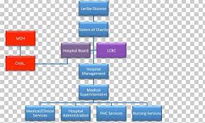 Complete the organisation chart from the information provided. Organizational Structure Hospital Board Of Directors Health Administration Png Clipart Angle Area Board Of Directors Brand
