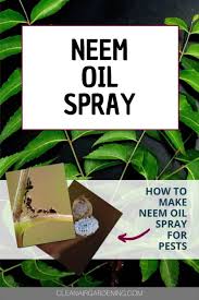 You can add up to 2 tablespoons of dishwashing soap if you're dealing with plants with hairy leaves, such as tomatoes. Neem Oil Spray Make Your Own In 2 Simple Steps