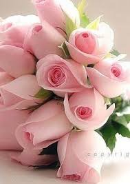 I Love You Pink Flowers Beautiful Flowers Pink Roses