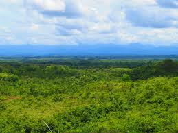 Pin On Fincas En Venta Chiriqui Farm For Sale Chiriqui