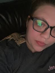 Any advice for a moody bearded dragon?