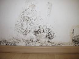 Maybe you would like to learn more about one of these? Realiser Des Travaux De Peinture Apres Un Degat Des Eaux Devispeinture Org