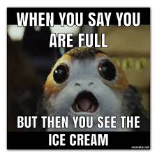 Image Result For Porg Memes Star Wars Memes Star Wars Humor Star Wars
