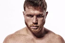 Browse our selection of canelo wallpaper and find the perfect design for you—created by our community of independent artists. About Canelo Alvarez Wallpapers Google Play Version Apptopia
