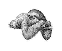 Black And Engrave Canvas Art Print 11x14 Home Decor White Sloth Art Sloth Sloth Tattoo