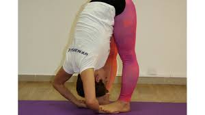 Pada Hastasana Steps Benefits Classic Yoga Ashtanga Yoga Asana Ashtanga